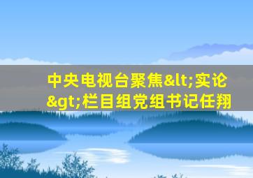 中央电视台聚焦<实论>栏目组党组书记任翔